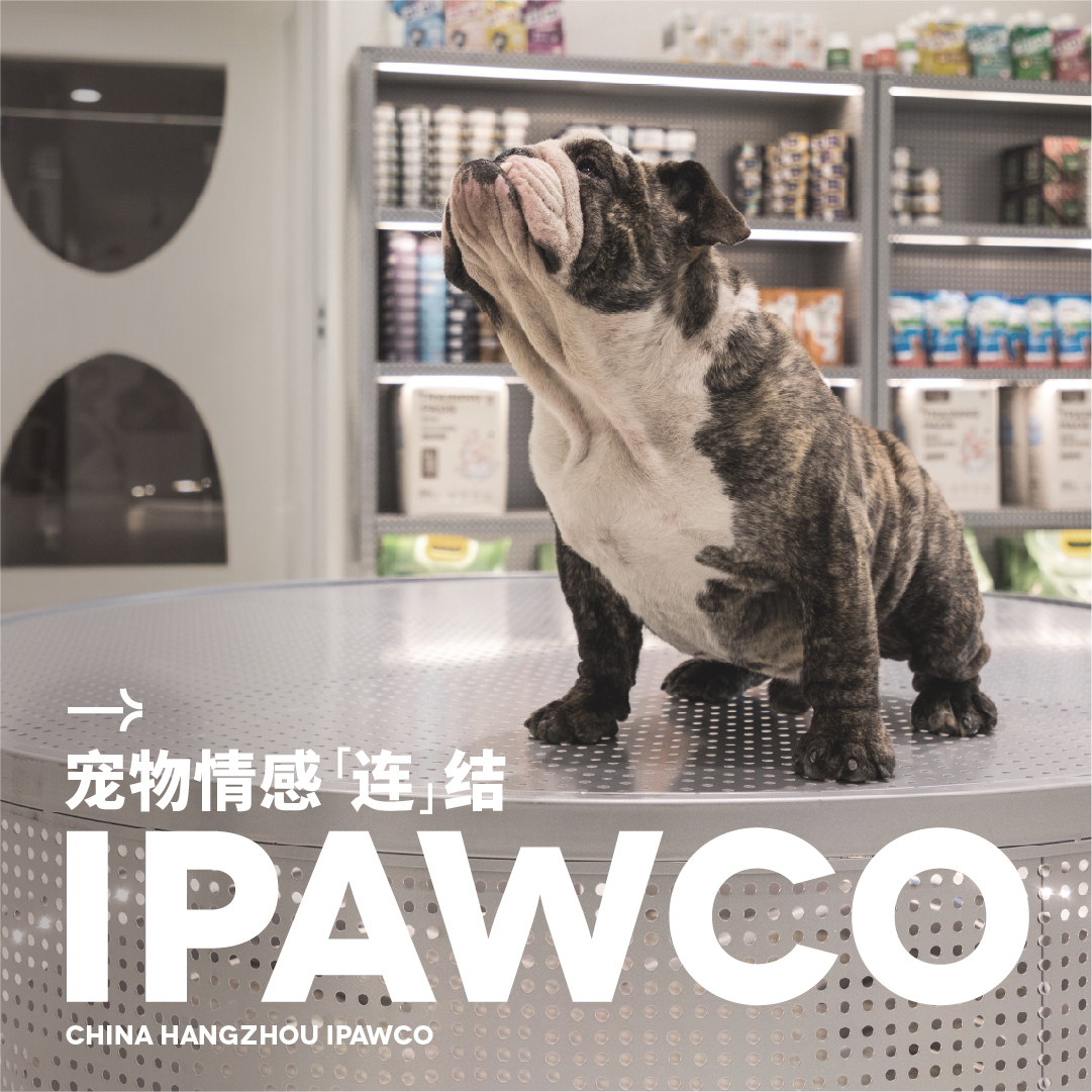 「虛谷無界·設計現場」IPAWCO 寵物品牌視覺